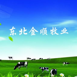 長春做網站公司 網站建設 網站設計 微信平臺制作 億人科技13756566613,18946773937,18186893973